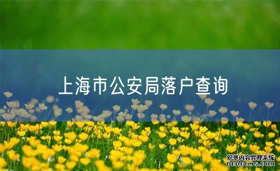 上海市公安局落户查询